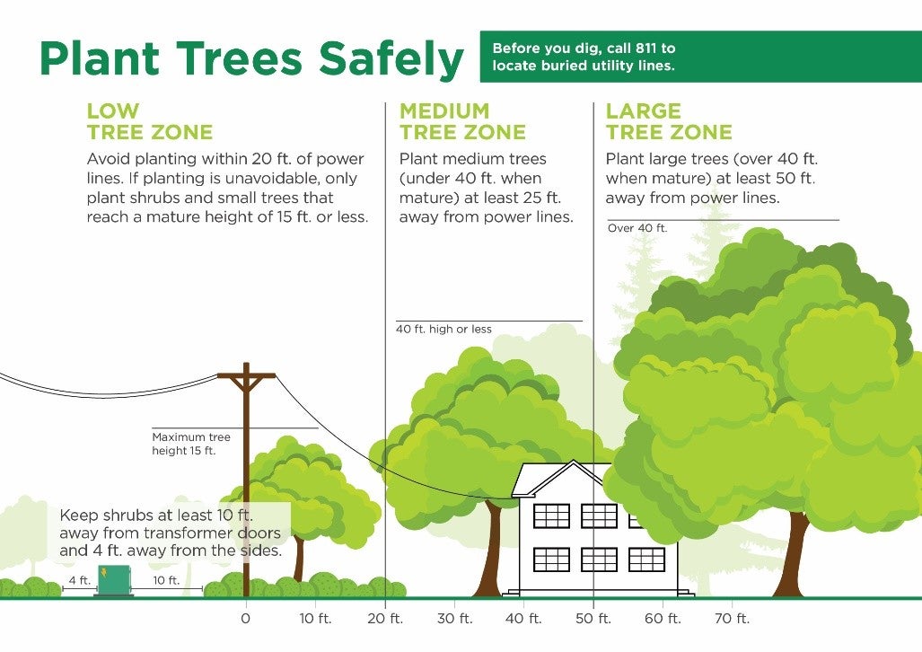 Safe distances from power lines for planting